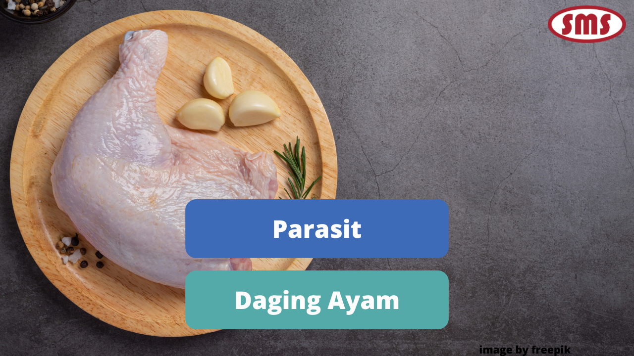 Ketahui Bahaya Parasit Pada Daging Ayam